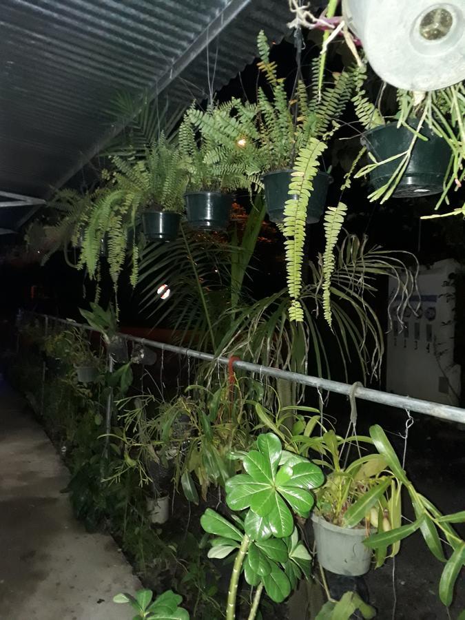 Hostal Brisas Calobrenas ภายนอก รูปภาพ